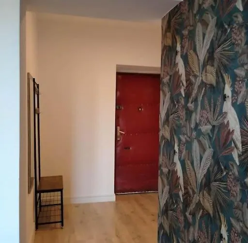 Parrot's كراكوفيا